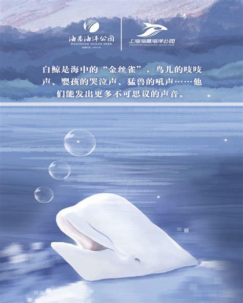 白鲸的复仇图3
