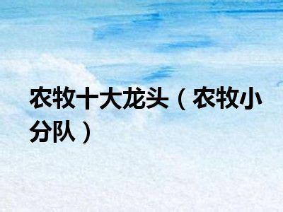农牧小分队图2