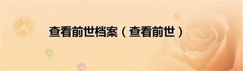 前世档案图3
