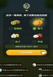 续丰图0