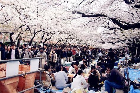 樱花祭图2