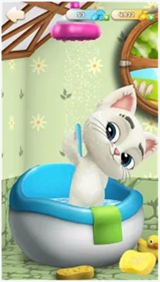会说话的猫图3