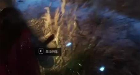 天涯明月刀手游神威怎么玩-神威两种路线玩法攻略