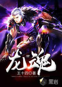 龙魂传世图0