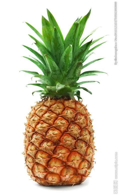 大菠萝