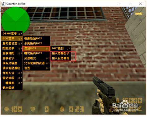cs1.6带机器人图0