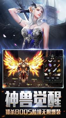 调皮的蜘蛛图1
