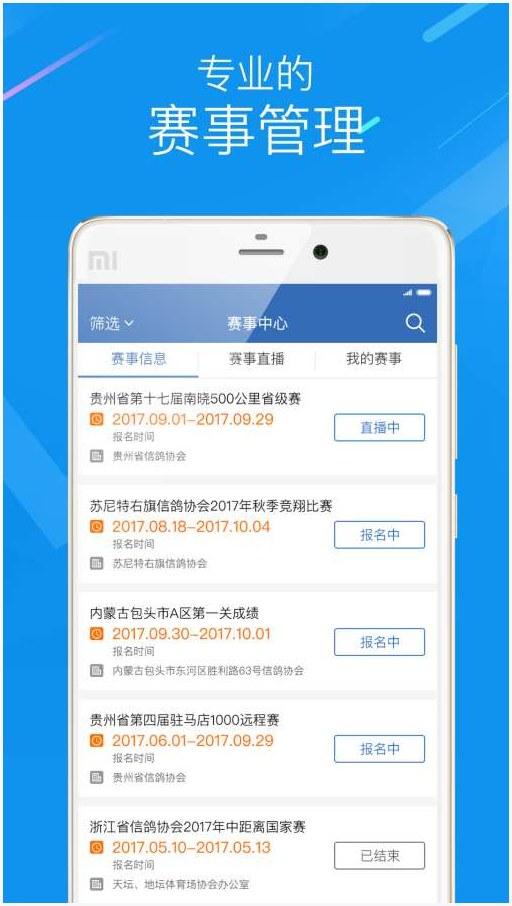 信鸽图4