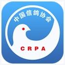 信鸽