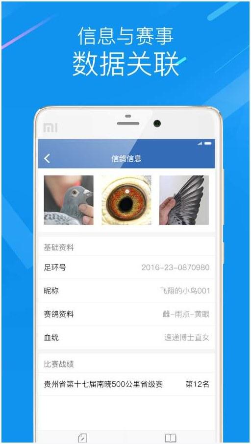 信鸽图1