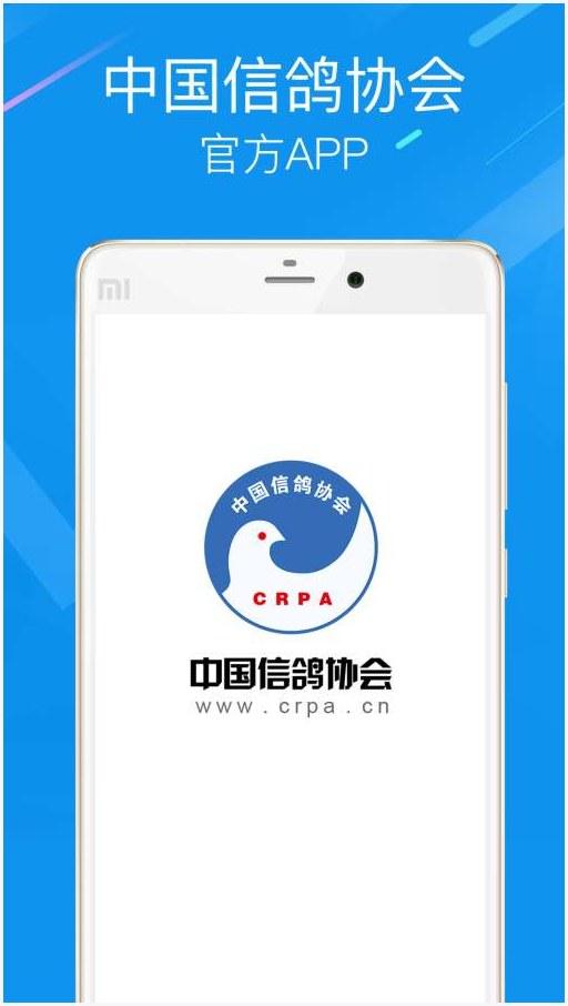 信鸽图2