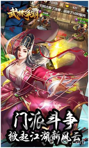 武林争霸图5