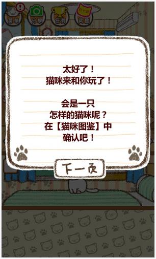家猫图1