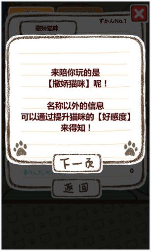 家猫图7