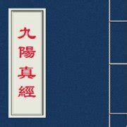 九阳真经图0