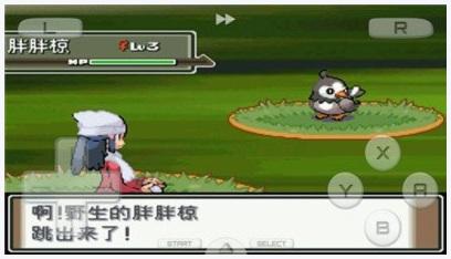 口袋妖怪空之花神图0