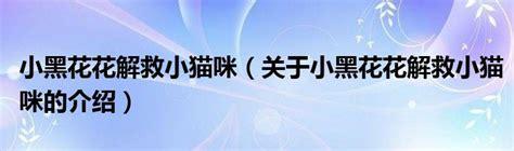小黑花花解救小猫咪图1