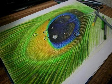 孔雀翎2图2
