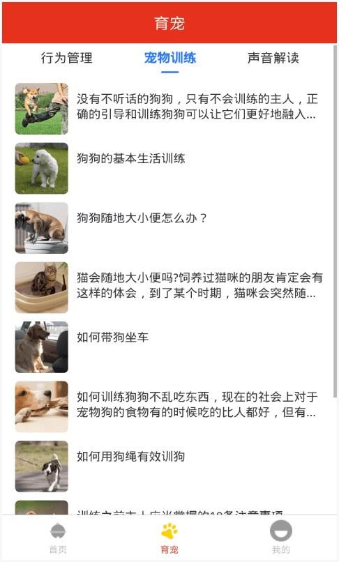 宠物之家图4