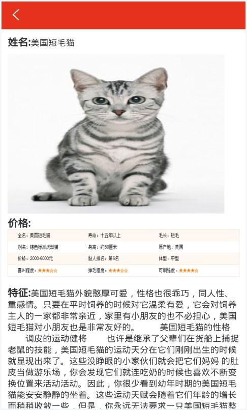 宠物之家图2