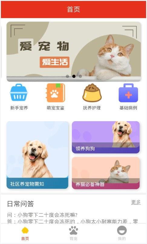 宠物之家图3