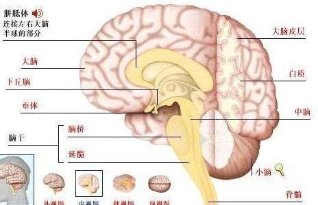 上帝禁区图1