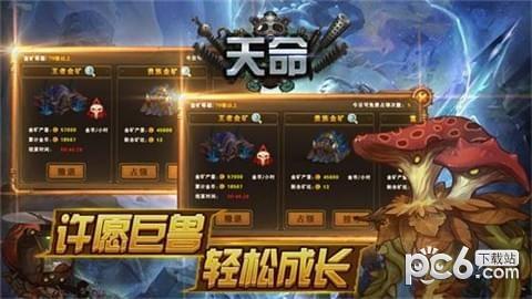 卡牌天命图1