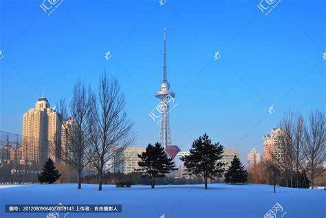 中华龙塔图0
