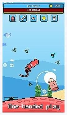 大王乌贼图1