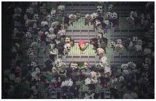 加拿大死亡之路图2