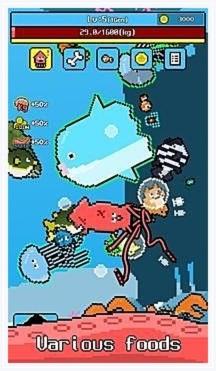 大王乌贼图2