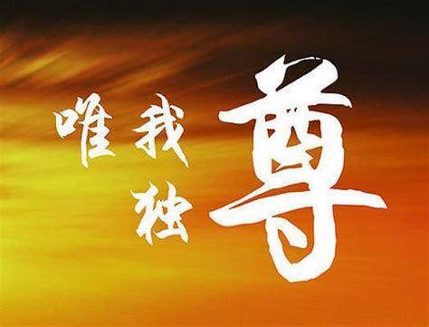三国之惟我独尊图0