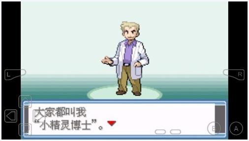 口袋妖怪永恒之炎图2