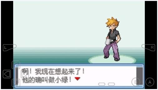 口袋妖怪永恒之炎图3