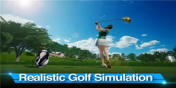 完美挥杆高尔夫图0