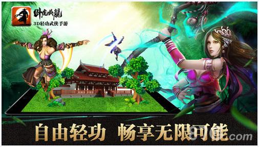 卧虎藏龙图2