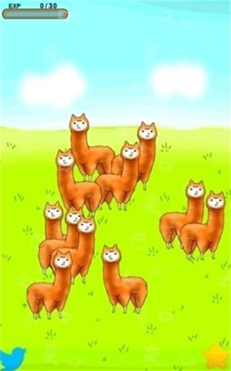 兄贵羊驼