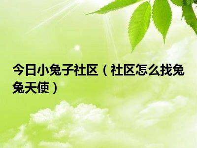 兔兔天使图0