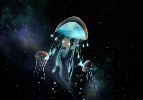星空物语图1