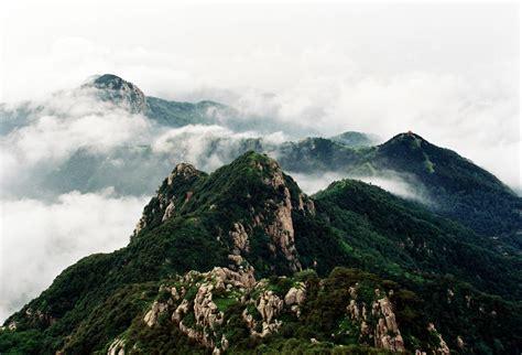 森林小泰山图3