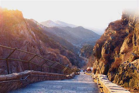 森林小泰山图1