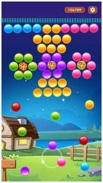 气泡鱼图5
