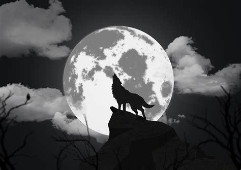 夜狼图1