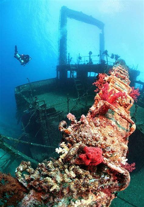 海底宝藏对对碰图1