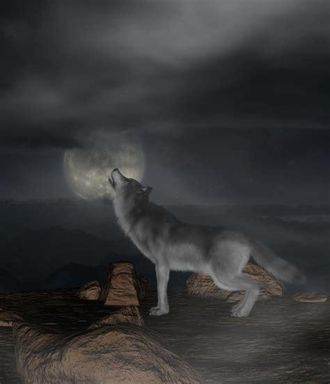 夜狼