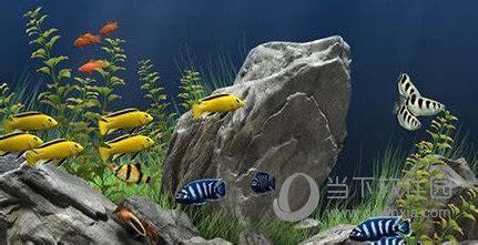 梦幻水族馆6图2