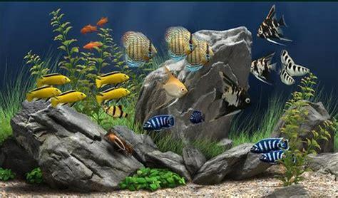 梦幻水族馆6图0