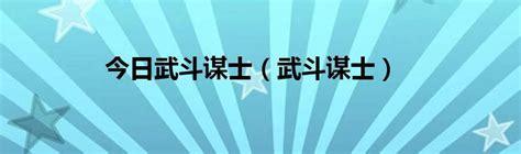 武斗谋士图3