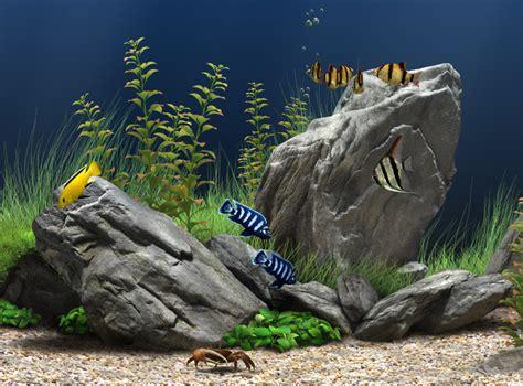梦幻水族馆6图3