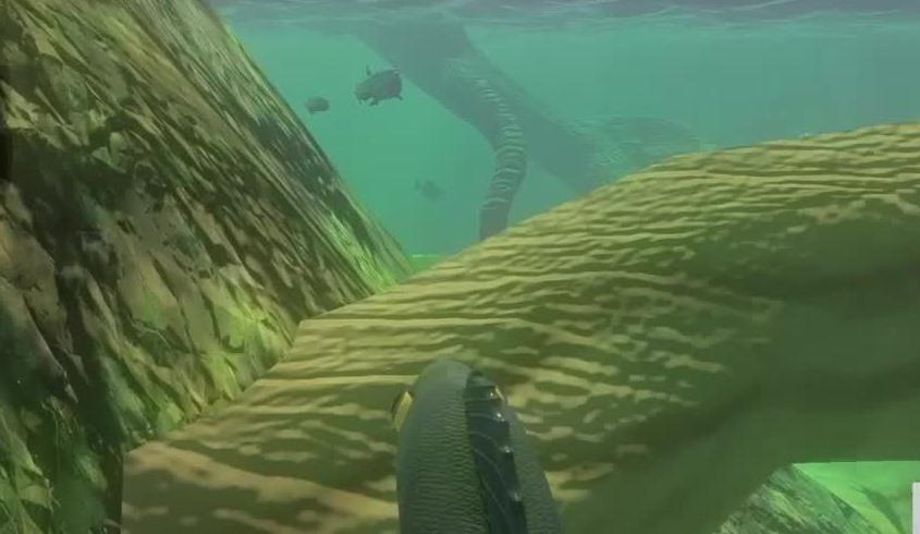 《射雕英雄传3D》郭襄人物介绍